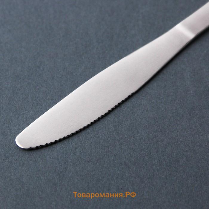 Нож столовый из нержавеющей стали «Нордик», длина 20,2 см, толщина 2 мм, цвет серебряный