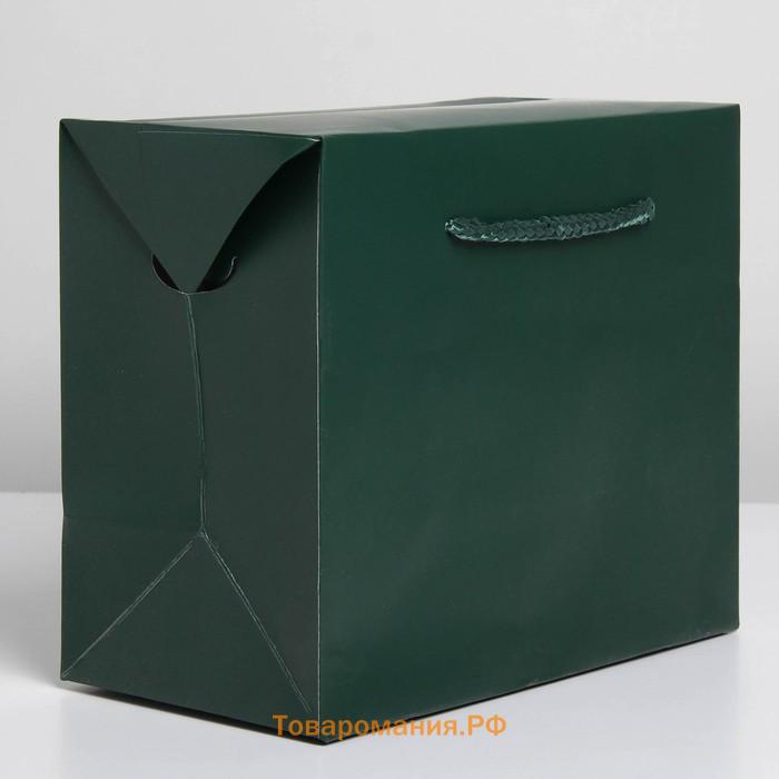 Пакет—коробка «Изумрудный», 23 × 18 × 11 см