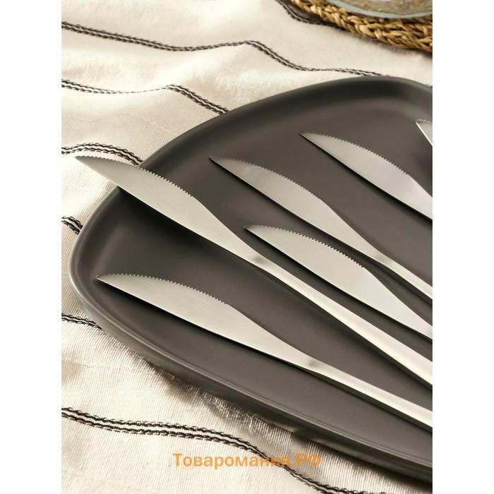 Ножи столовые из нержавеющей стали Sentiment, длина 23 см, 6 шт, цвет серебряный