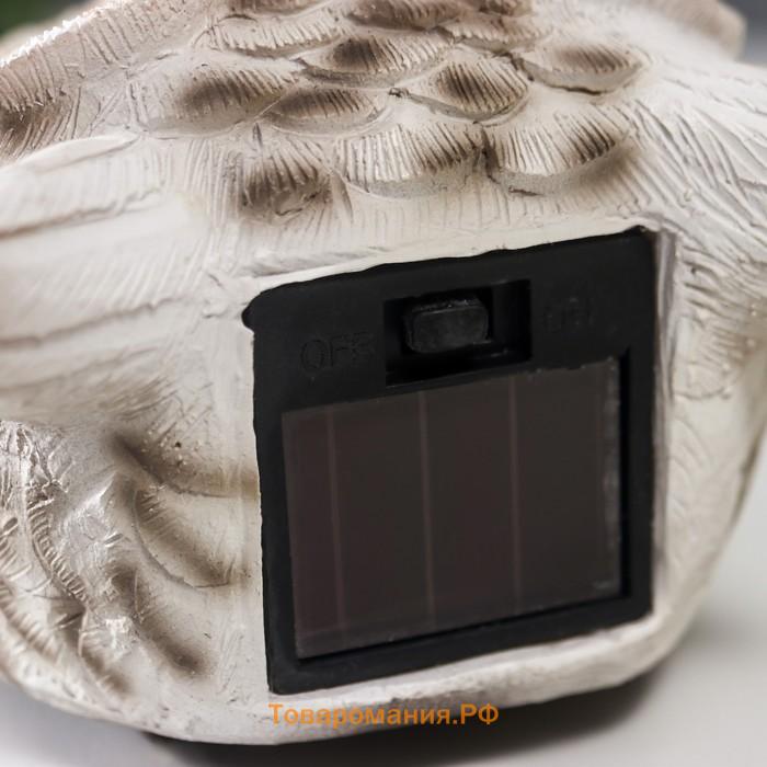 Сувенир настенный полистоун свет "Белый филин на ветке" от солнечной батареи 20х8х17,5 см