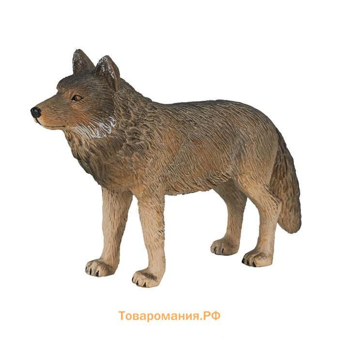 Фигурка Konik «Волк стоящий»