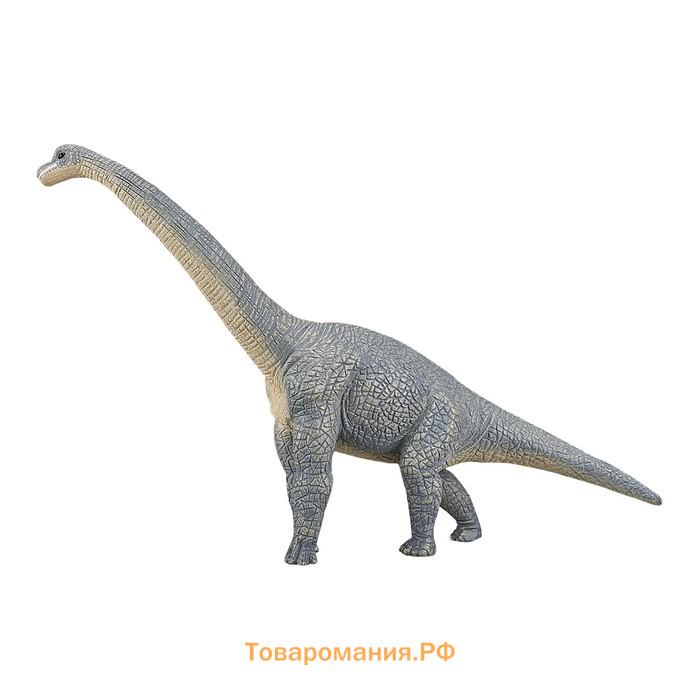 Фигурка Konik «Брахиозавр, голубой»