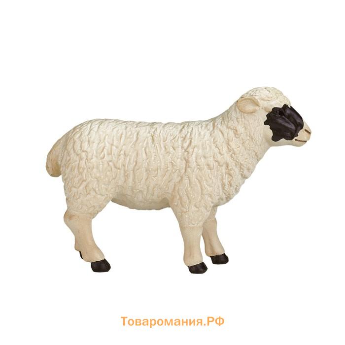 Фигурка Konik «Шотландская черноголовая овца»