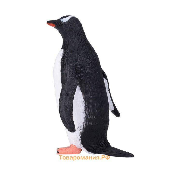 Фигурка Konik «Субантарктический пингвин»