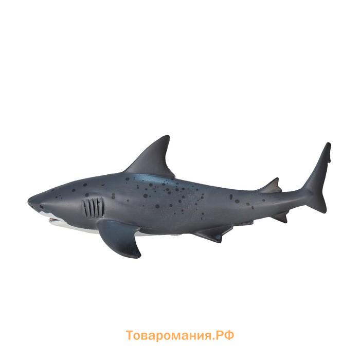Фигурка Konik «Тупорылая акула»