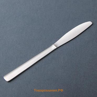 Нож столовый из нержавеющей стали «Нордик», длина 20,2 см, толщина 2 мм, цвет серебряный