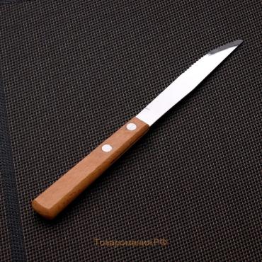 Нож столовый из нержавеющей стали «Эко-стейк», длина 20 см, деревянная ручка