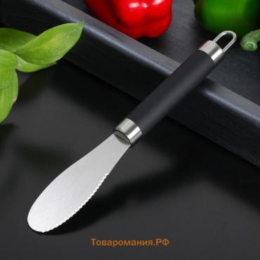 Нож для масла Venus, нержавеющая сталь, 25 см, цвет чёрный